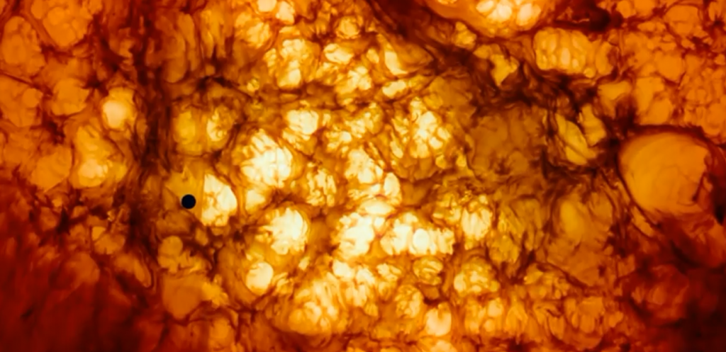 The_Tree-of-Life_Terrence_Malick_still_photo_03 tree-of-life1
