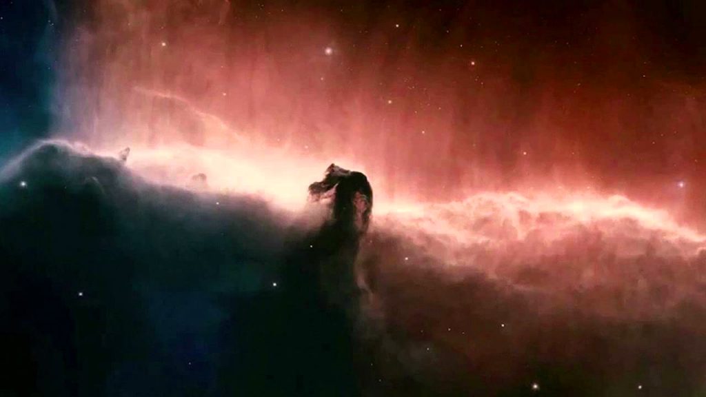 The_Tree-of-Life_Terrence_Malick_still_photo_03-maxresdefaul-t