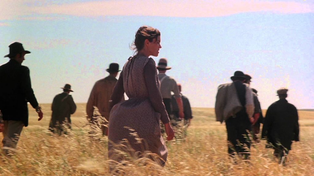 days of heaven terrence malick