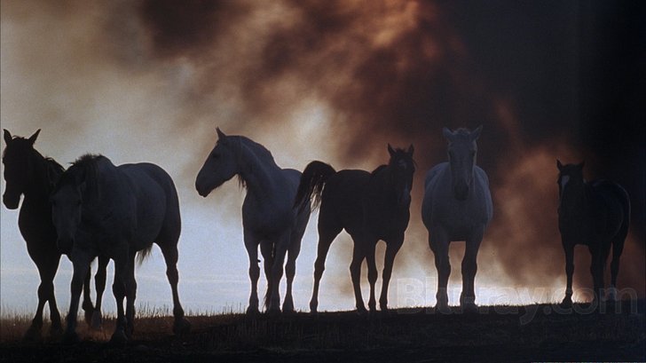 days of heaven terrence malick linda mantz 2557_5