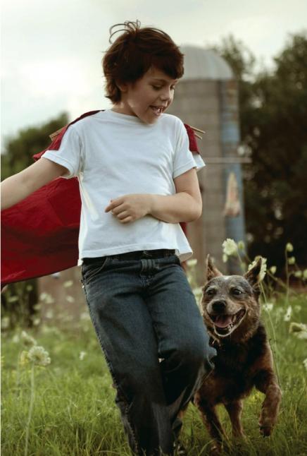 Man Of Steel, skip