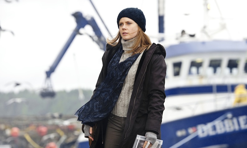 Man of Steel, Amy Adams
