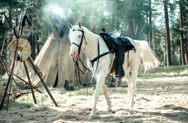The Lone Ranger,