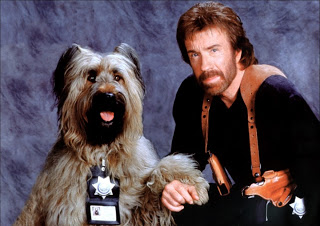 “Top Dog” (1995)