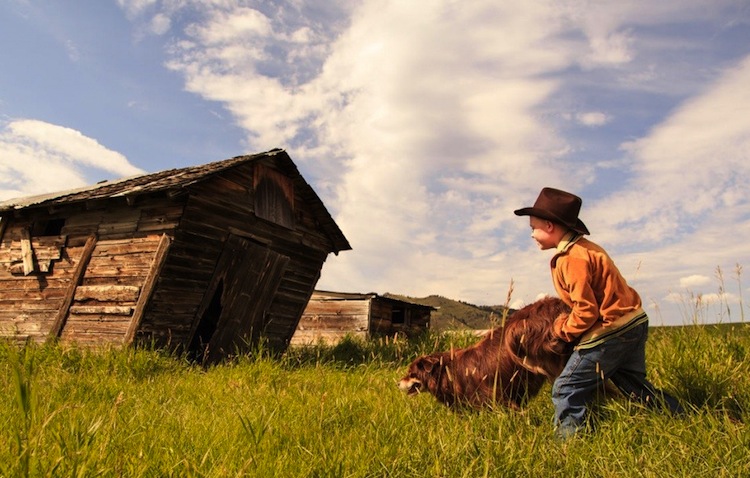 The Young and Prodigious Spivet