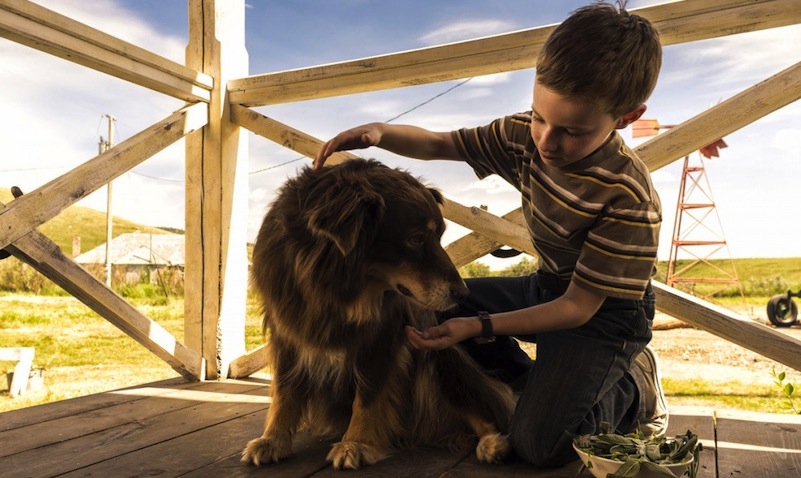 The Young and Prodigious Spivet