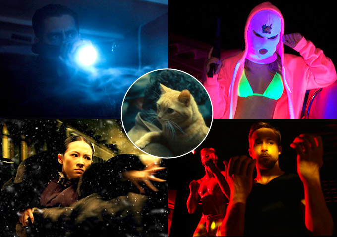  The Best Shots Of 2013