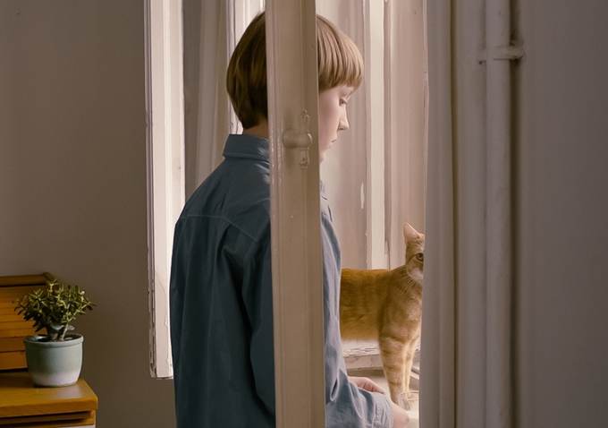 The Strange Little Cat