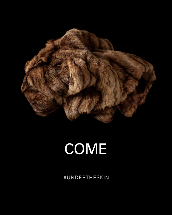 Under The Skin Poster