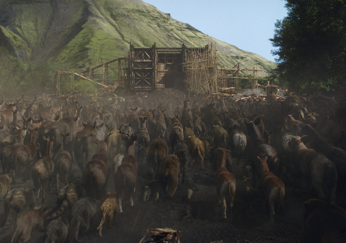 Noah