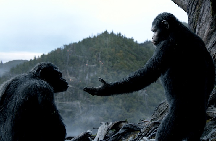 Dawn Of The Planet Of The Apes