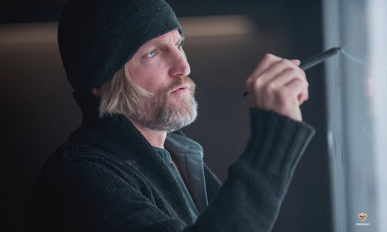 THE HUNGER GAMES: MOCKINGJAY – PART 1