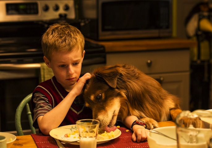 The Young & Prodigious Spivet