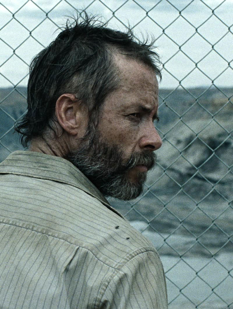 The Rover