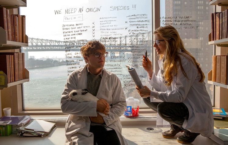 I Origins
