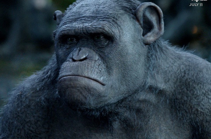 Dawn of the Planet of the Apes, 