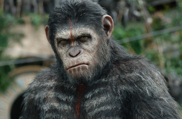 Dawn Of The Planet Of The Apes