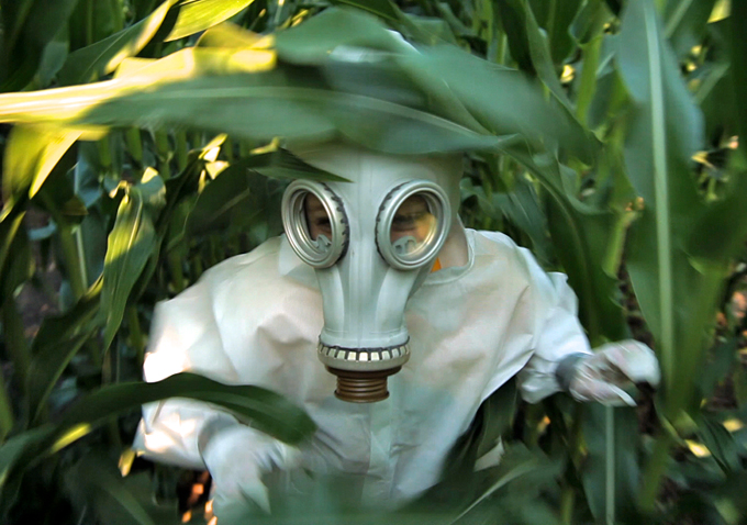 GMO OMG