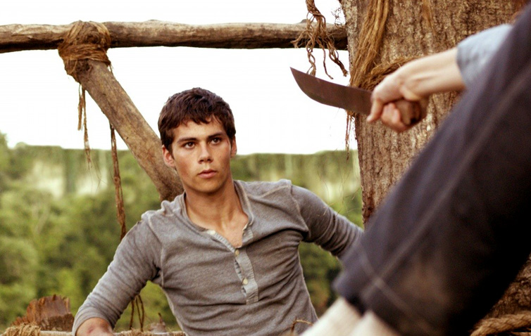 The Maze Runner