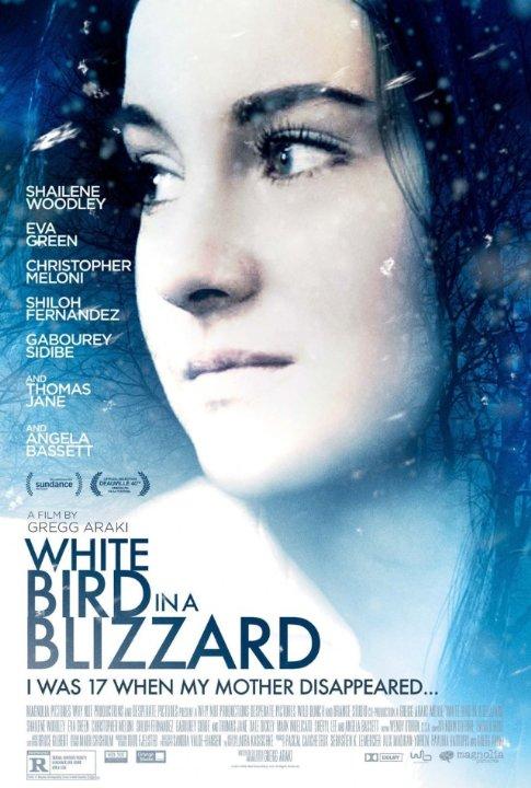 White Blizzard, poster