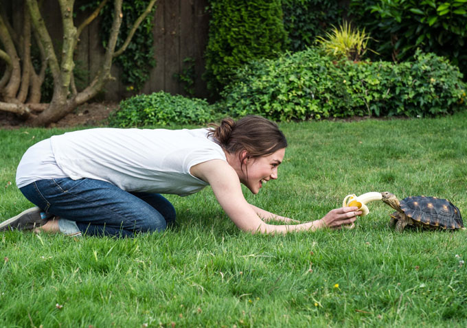 Laggies