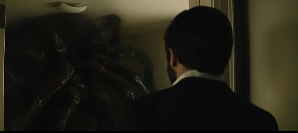 Enemy Spider shot 2014