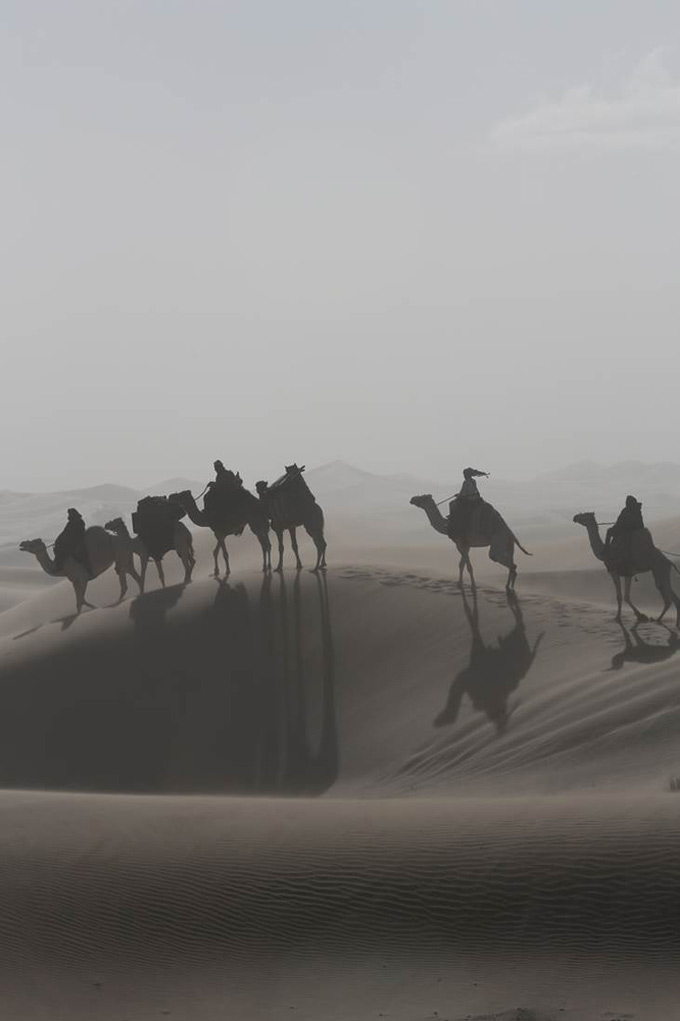 Queen of The Desert
