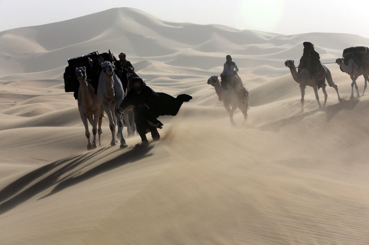 Queen of The Desert