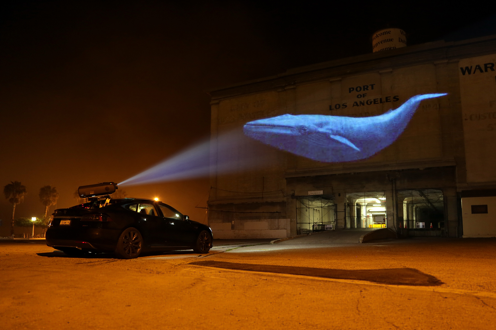 Racing Extinction 