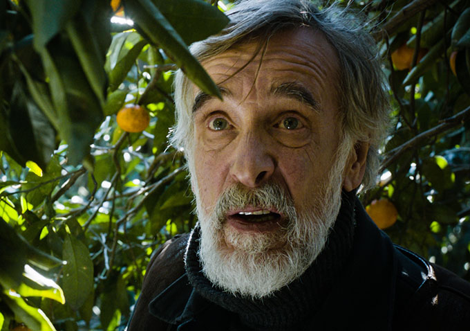 Tangerines
