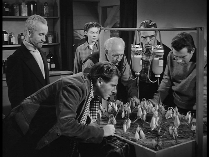 The Thing from Another World