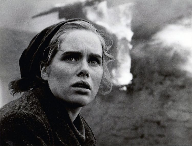 shame ingmar bergman