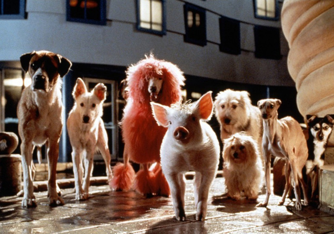 Babe: Pig in the City