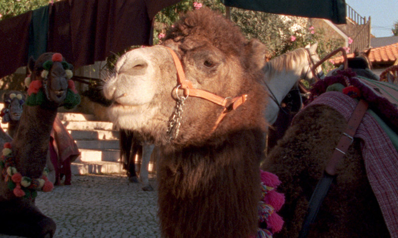 Arabian Nights