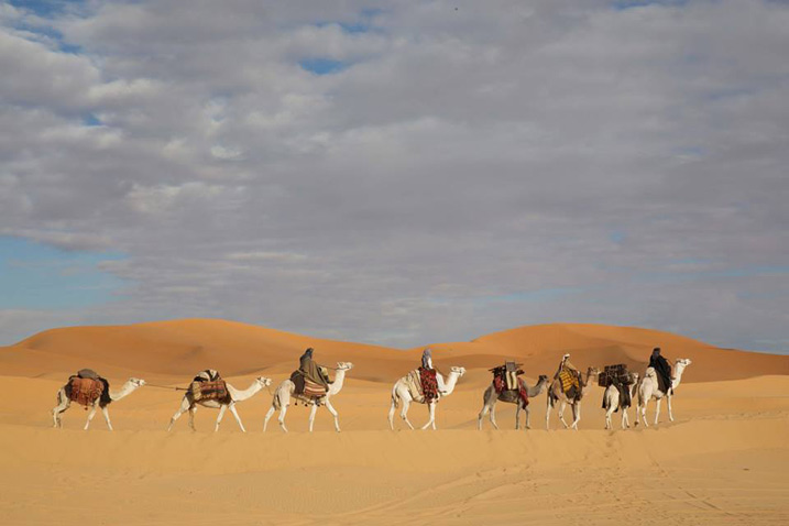 Queen of The Desert