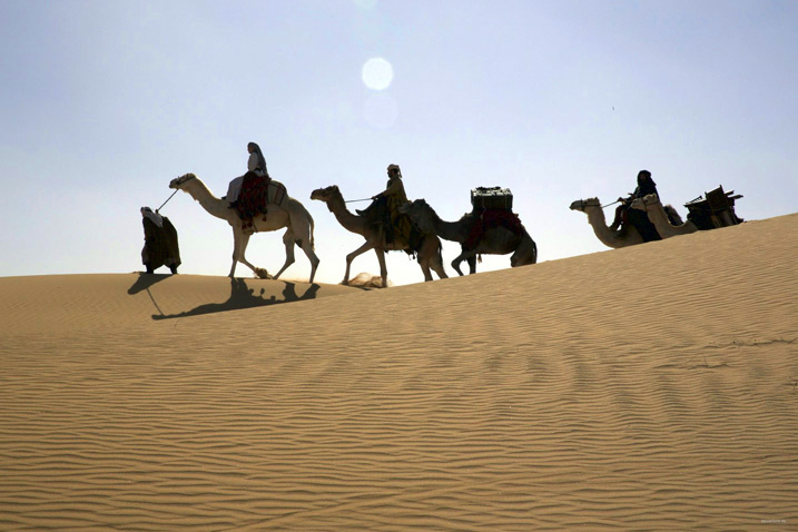 Queen of The Desert