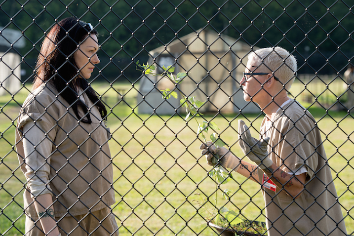 Orange Is The New Black