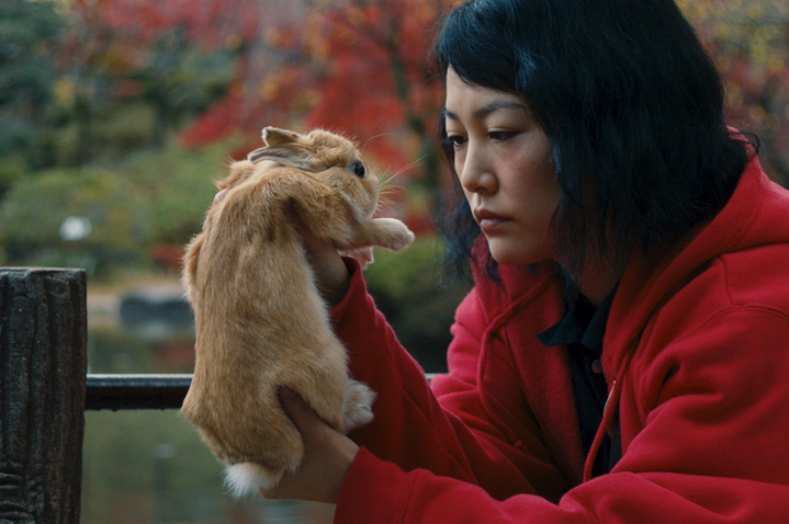 Kumiko, The Treasure Hunter