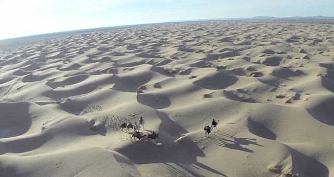 Queen of The Desert