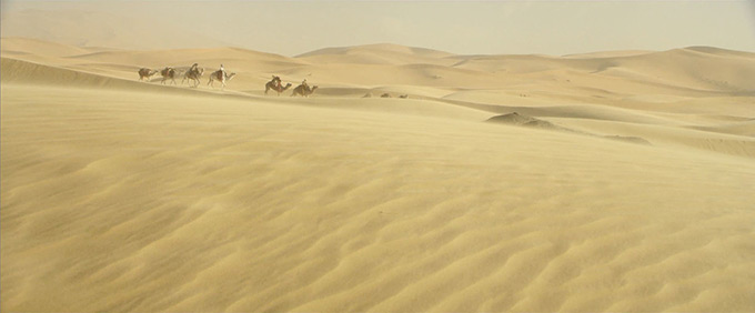 Queen of The Desert