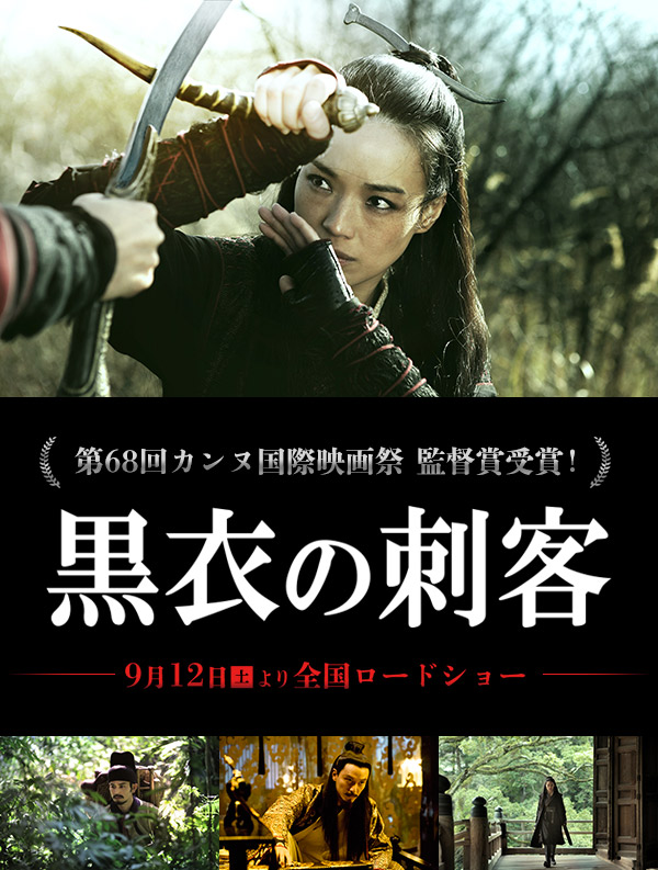 The Assassin Poster