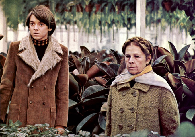 Harold And Maude