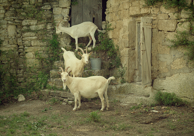 Les 3 Boutons