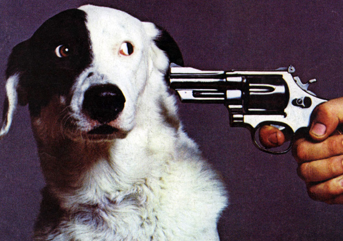 Drunk, Stoned, Brilliant: The Story of National Lampoon