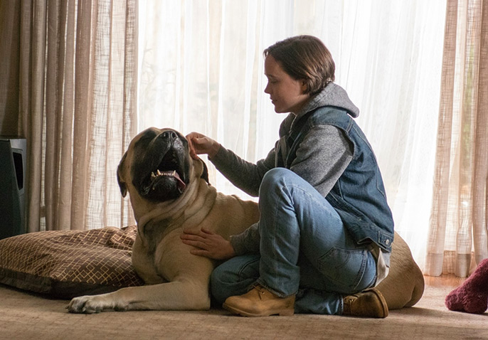 Freeheld