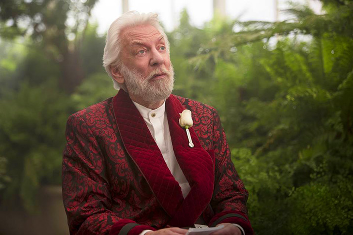The Hunger Games: Mockingjay - Part 2
