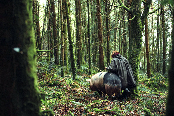 The Lobster