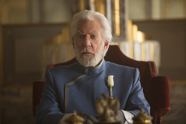 Hunger Games Mockingjay Part 2