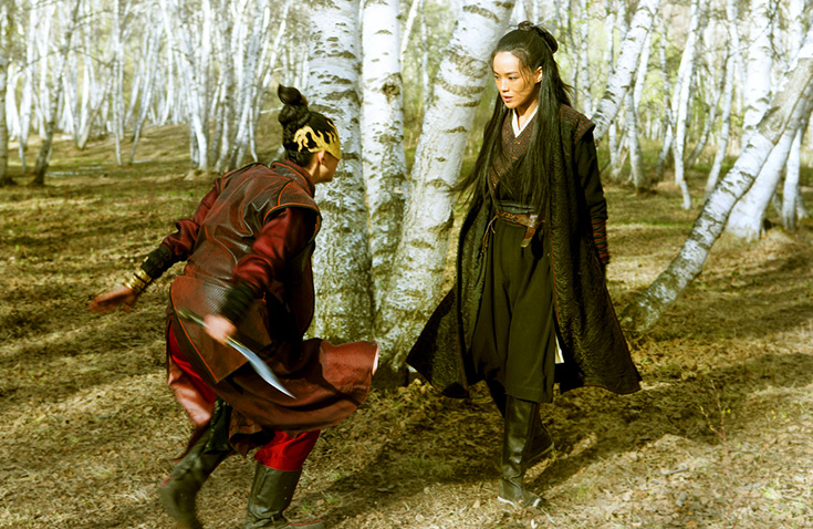 The Assassin