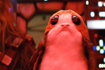 Porg, Star-Wars, The-Last-Jedi